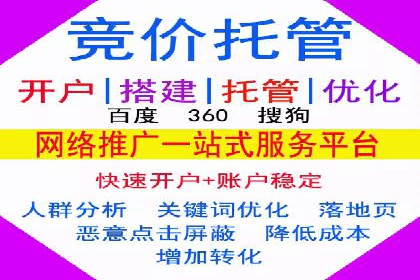 SEM服务案例：打造行业领先品牌